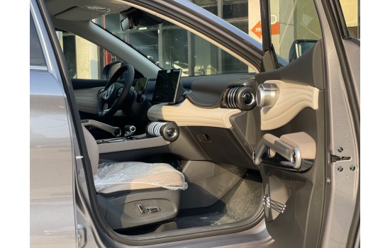 BYD Yuan Plus Grey 2024
